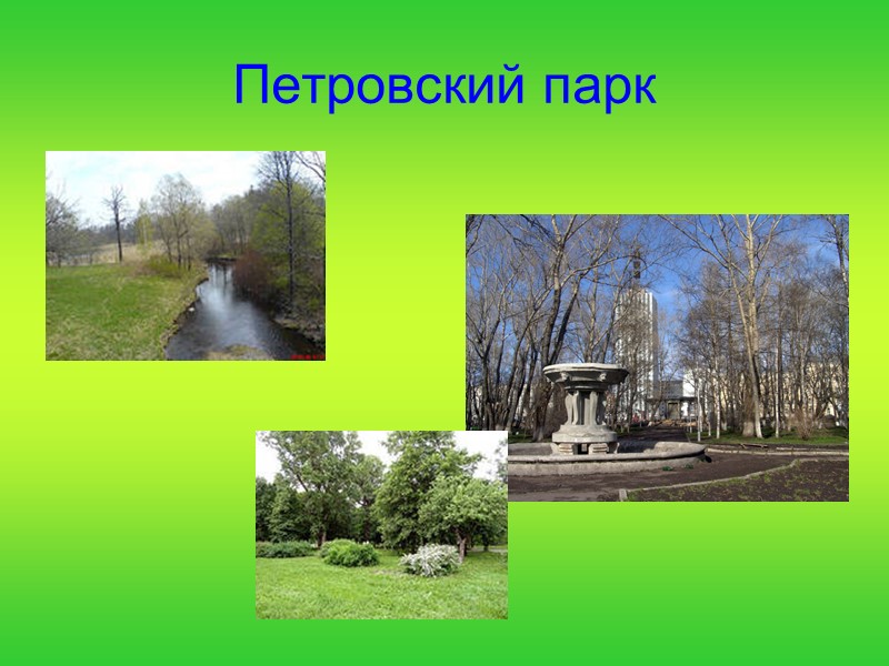 Петровский парк